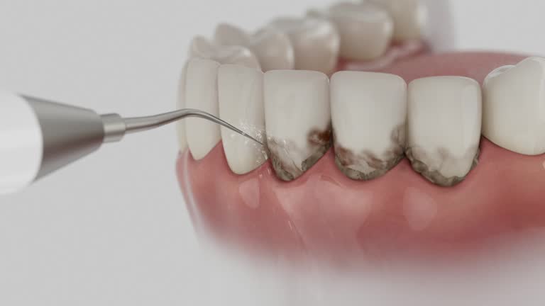 Reliable Dental contractor in Navy, VA by Dentist Open Now